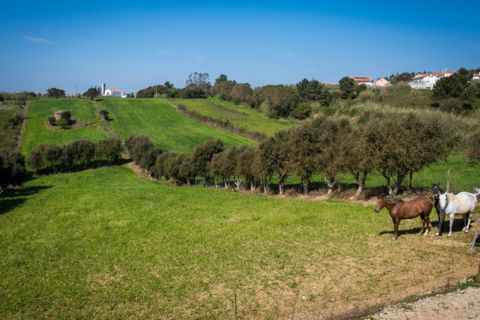Villa i Santa Barbara, Lisbon, Santa Barbara - € 1.850.000 | Ref: AF004-26 - foto 31
