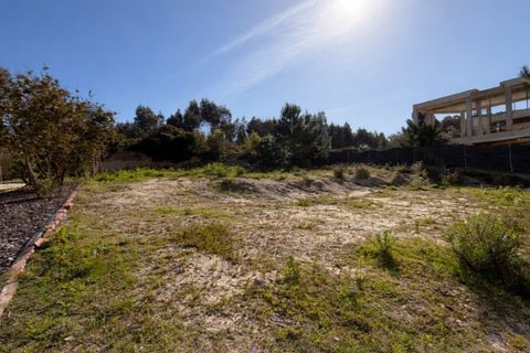 Helårsgrund i A dos Cunhados e Maceira, Lisbon, A dos Cunhados e Maceira - € 127.500 | Ref: CF001-26 - foto 19