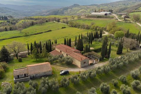 Villa i Scansano, Grosseto, Scansano - € 980.000 | Ref: 157 - foto 4