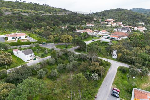 Terra a Minde, Santarem, Minde - € 32.500 | Ref: C0269-02098 - foto 2