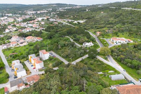 Terra a Minde, Santarem, Minde - € 32.500 | Ref: C0269-02098 - foto 3