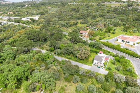 Terra em Minde, Santarem, Minde - € 32.500 | Ref: C0269-02099 - foto 2