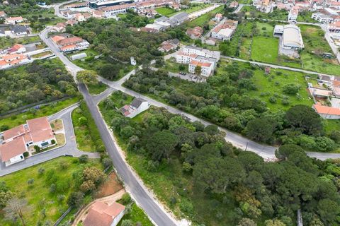 Terra em Minde, Santarem, Minde - € 32.500 | Ref: C0269-02099 - foto 3