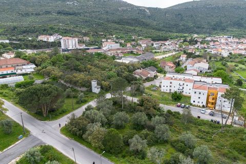 Tomt i Minde, Santarem, Minde - € 32 500 | Ref: C0269-02097 - foto 8