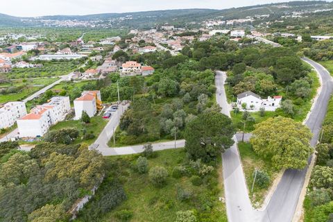 Terra em Minde, Santarem, Minde - € 32.500 | Ref: C0269-02096 - foto 4