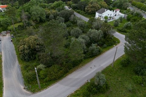 Terra em Minde, Santarem, Minde - € 32.500 | Ref: C0269-02096 - foto 8