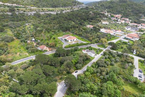 Tomt i Minde, Santarem, Minde - € 32 500 | Ref: C0269-02095 - foto 3
