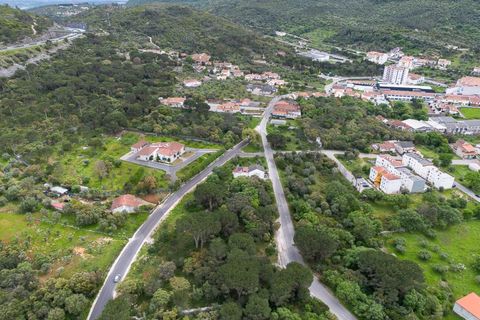Tomt i Minde, Santarem, Minde - € 32 500 | Ref: C0269-02095 - foto 4