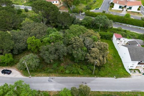 Tomt i Minde, Santarem, Minde - € 32 500 | Ref: C0269-02095 - foto 5