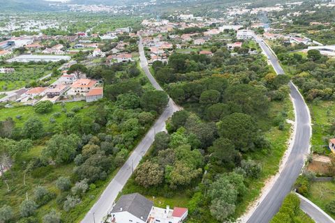 Tomt i Minde, Santarem, Minde - € 32 500 | Ref: C0269-02095 - foto 6