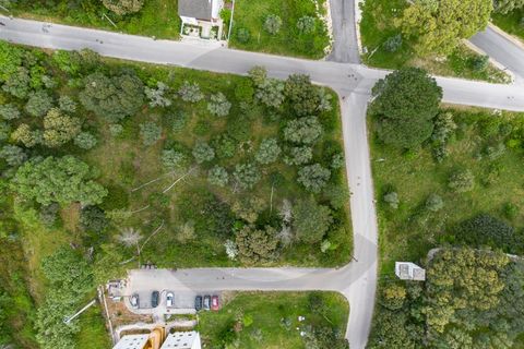Terra em Minde, Santarem, Minde - € 32.500 | Ref: C0269-02094 - foto 2