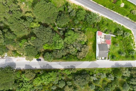 Terra em Minde, Santarem, Minde - € 32.500 | Ref: C0269-02094 - foto 3