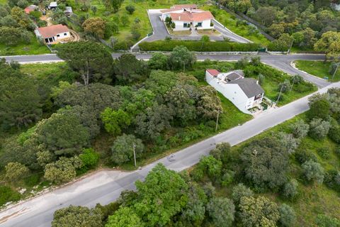 Terra em Minde, Santarem, Minde - € 32.500 | Ref: C0269-02094 - foto 4