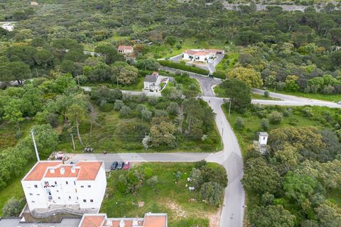 Terra a Minde, Santarem, Minde - € 32.500 | Ref: C0269-02093 - foto 2