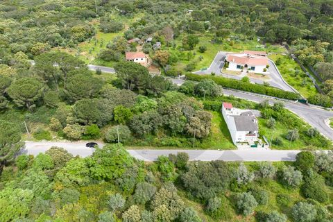 Terra a Minde, Santarem, Minde - € 32.500 | Ref: C0269-02093 - foto 3