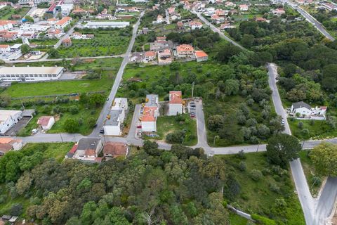 Terra a Minde, Santarem, Minde - € 32.500 | Ref: C0269-02093 - foto 5