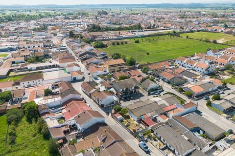 Villa i Golega, Santarem, Golega - € 490.000 | Ref: C0269-02090 - foto 3