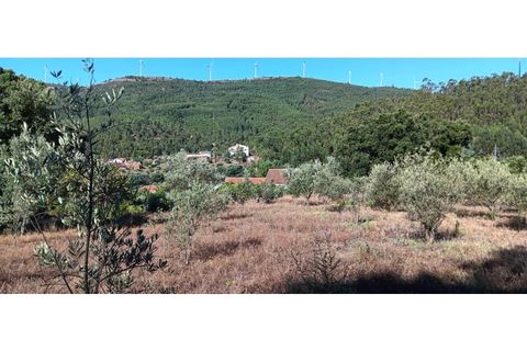 Terra a Macao, Santarem, Macao - € 65.000 | Ref: SÒL_297 - foto 2