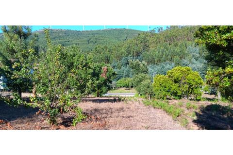 Terra a Macao, Santarem, Macao - € 65.000 | Ref: SÒL_297 - foto 4