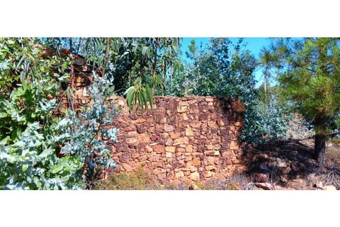 Terra a Macao, Santarem, Macao - € 65.000 | Ref: SÒL_297 - foto 3