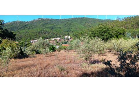 Terra a Macao, Santarem, Macao - € 65.000 | Ref: SÒL_297 - foto 5