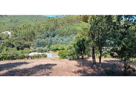 Terra a Macao, Santarem, Macao - € 65.000 | Ref: SÒL_297 - foto 6
