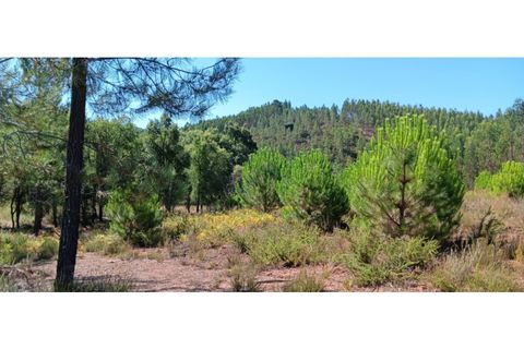 Terra a Macao, Santarem, Macao - € 65.000 | Ref: SÒL_297 - foto 9