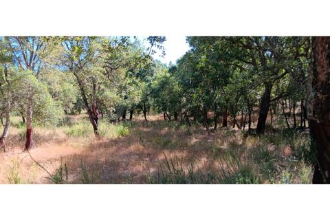 Terra a Macao, Santarem, Macao - € 65.000 | Ref: SÒL_297 - foto 12