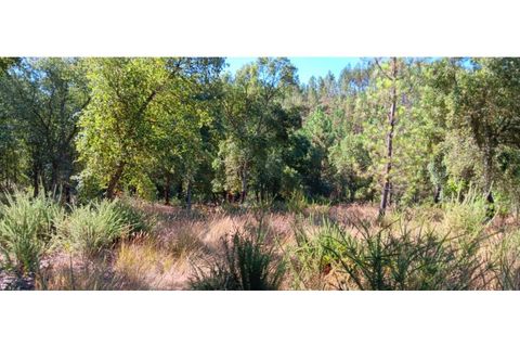 Terra a Macao, Santarem, Macao - € 65.000 | Ref: SÒL_297 - foto 13