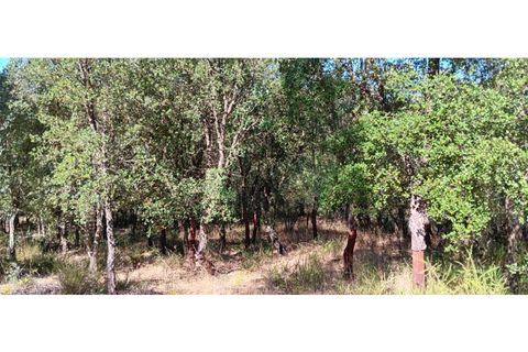 Terra a Macao, Santarem, Macao - € 65.000 | Ref: SÒL_297 - foto 15