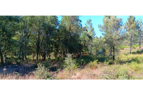 Terra a Macao, Santarem, Macao - € 65.000 | Ref: SÒL_297 - foto 19