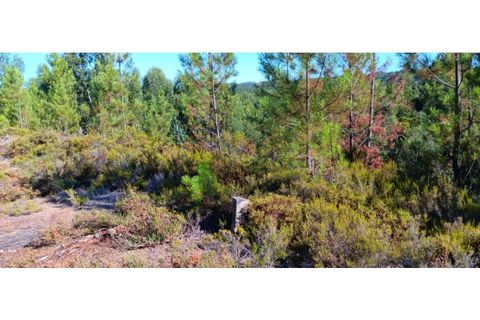 Terra a Macao, Santarem, Macao - € 65.000 | Ref: SÒL_297 - foto 22
