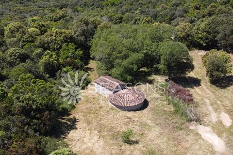 Landejendom i Aglientu, Sassari, Aglientu - € 550.000 | Ref: 86913178 - foto 11