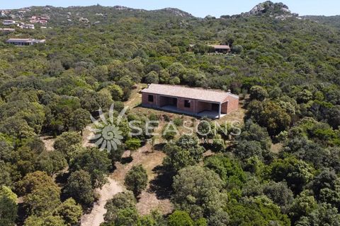 Landejendom i Aglientu, Sassari, Aglientu - € 550.000 | Ref: 86913178 - foto 12