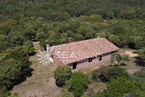 Landejendom i Aglientu, Sassari, Aglientu - € 550.000 | Ref: 86913178 - foto 13