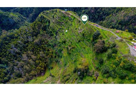 Terra a Camacha, Madeira, Camacha - € 19.000 | Ref: RHG26017 - foto 3