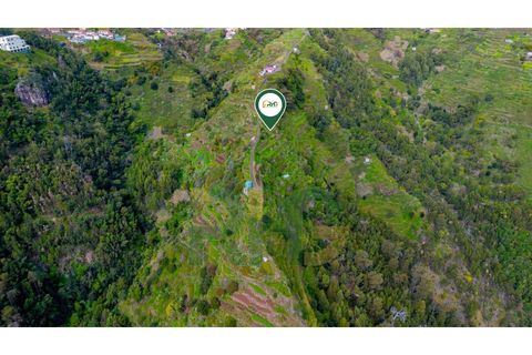 Terra a Camacha, Madeira, Camacha - € 19.000 | Ref: RHG26017 - foto 4