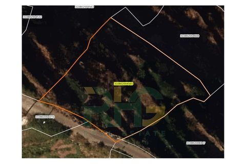 Terra a Camacha, Madeira, Camacha - € 19.000 | Ref: RHG26017 - foto 5