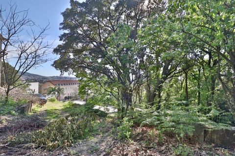 Byhus i Braga, Braga, Braga - € 990.000 | Ref: 013-4337 - foto 27