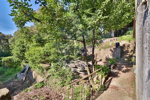 Byhus i Braga, Braga, Braga - € 990.000 | Ref: 013-4337 - foto 29