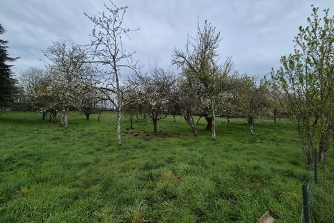 Villa a Aigurande, Indre, Aigurande - € 76.000 | Ref: 340939161957 - foto 13
