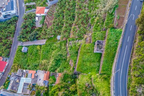 Helårsgrund i Calheta, Madeira, Calheta - € 240.000 | Ref: Q2660 - foto 16