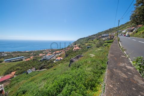 Helårsgrund i Calheta, Madeira, Calheta - € 240.000 | Ref: Q2660 - foto 6
