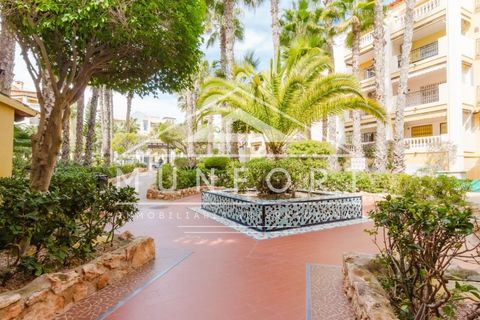 Leilighet i Torrevieja, Alicante, Torrevieja - € 214 900 | Ref: MT575-D - foto 24