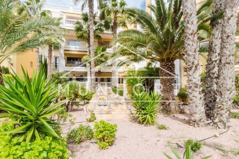 Leilighet i Torrevieja, Alicante, Torrevieja - € 214 900 | Ref: MT575-D - foto 31