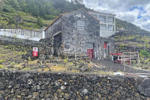 Helårsgrund i Lajes do Pico, Pico, Lajes do Pico - € 85.000 | Ref: 374240054 - foto 4