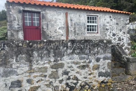 Helårsgrund i Lajes do Pico, Pico, Lajes do Pico - € 85.000 | Ref: 374240054 - foto 6