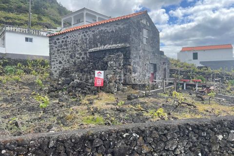 Helårsgrund i Lajes do Pico, Pico, Lajes do Pico - € 85.000 | Ref: 374240054 - foto 7