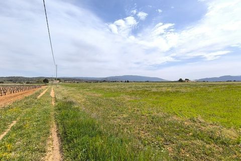 Masia a Yecla, Murcia, Yecla - € 390.000 | Ref: 70102b - foto 8