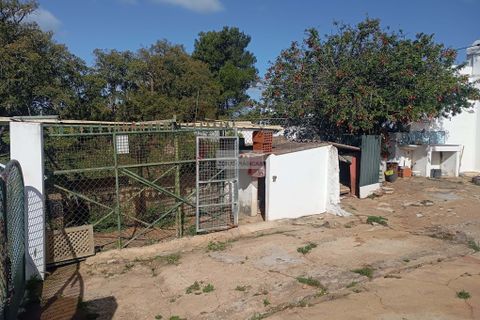 Farm hus i Lagos, Faro, Lagos - € 600.000 | Ref: T0524 - foto 2